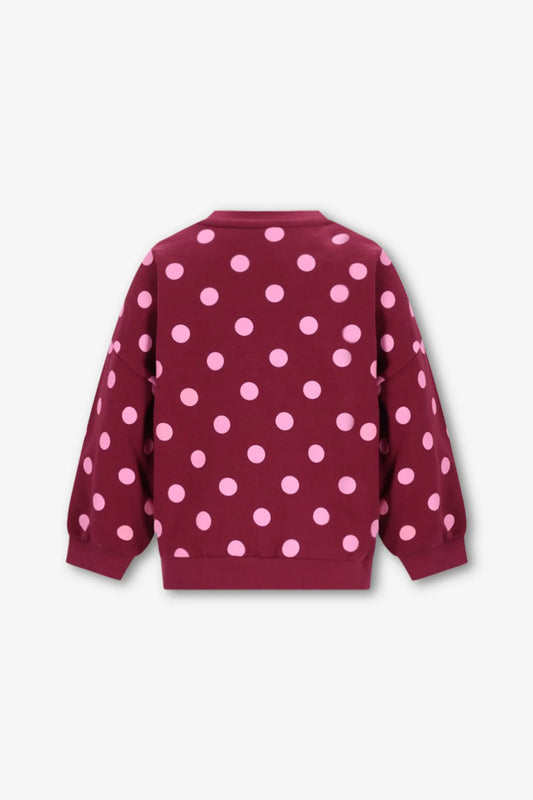 The New Chapter | Billie sweater bordeaux stip