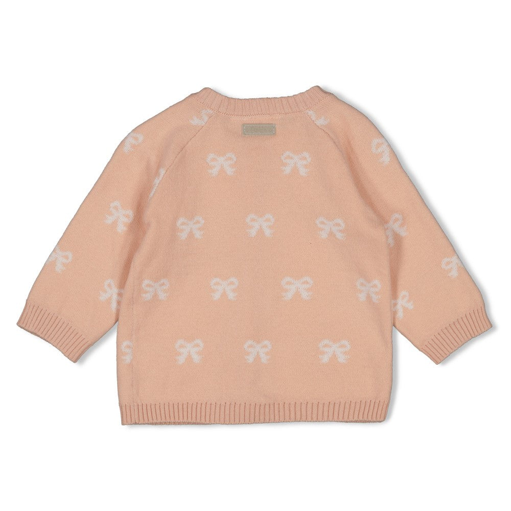Feetje | vestje gebreid roze - the knits