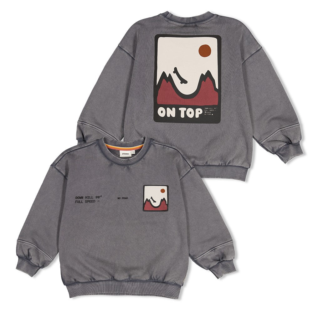 Sturdy | Oversized sweater met backprint Mountain Top - Grijs