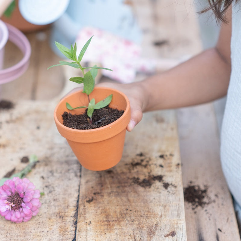 kinder kweekset bloemen potje little dutch