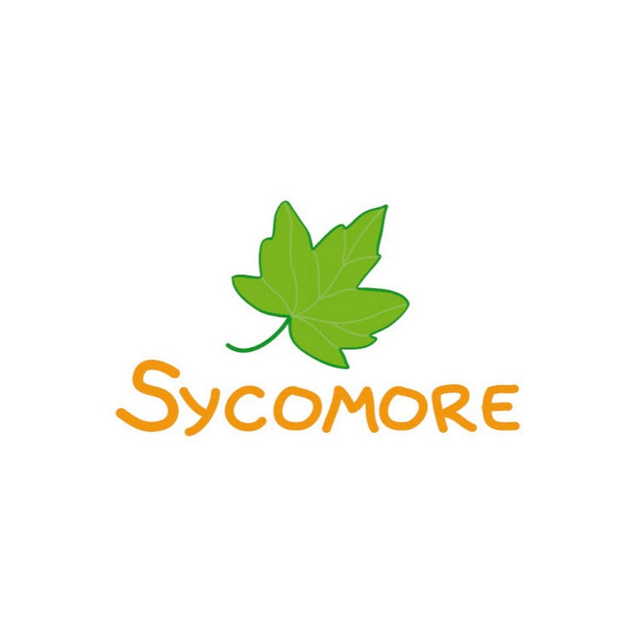 Sycomore creatief speelgoed