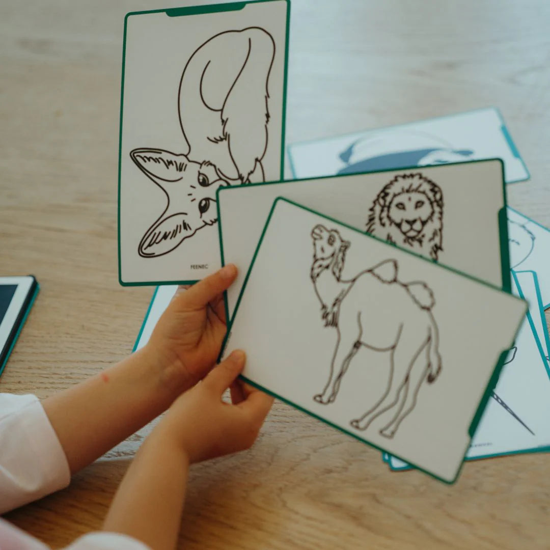 Kidywolf | KIDYDRAW-MINI Refill – Dieren, Oceanen & Piraten Tekenkaarten