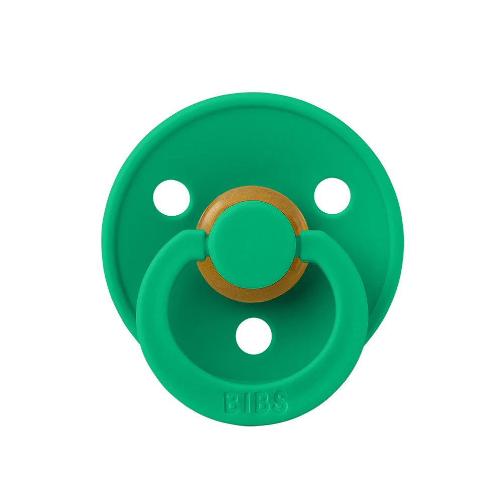 Bibs | speen Cactus, groen