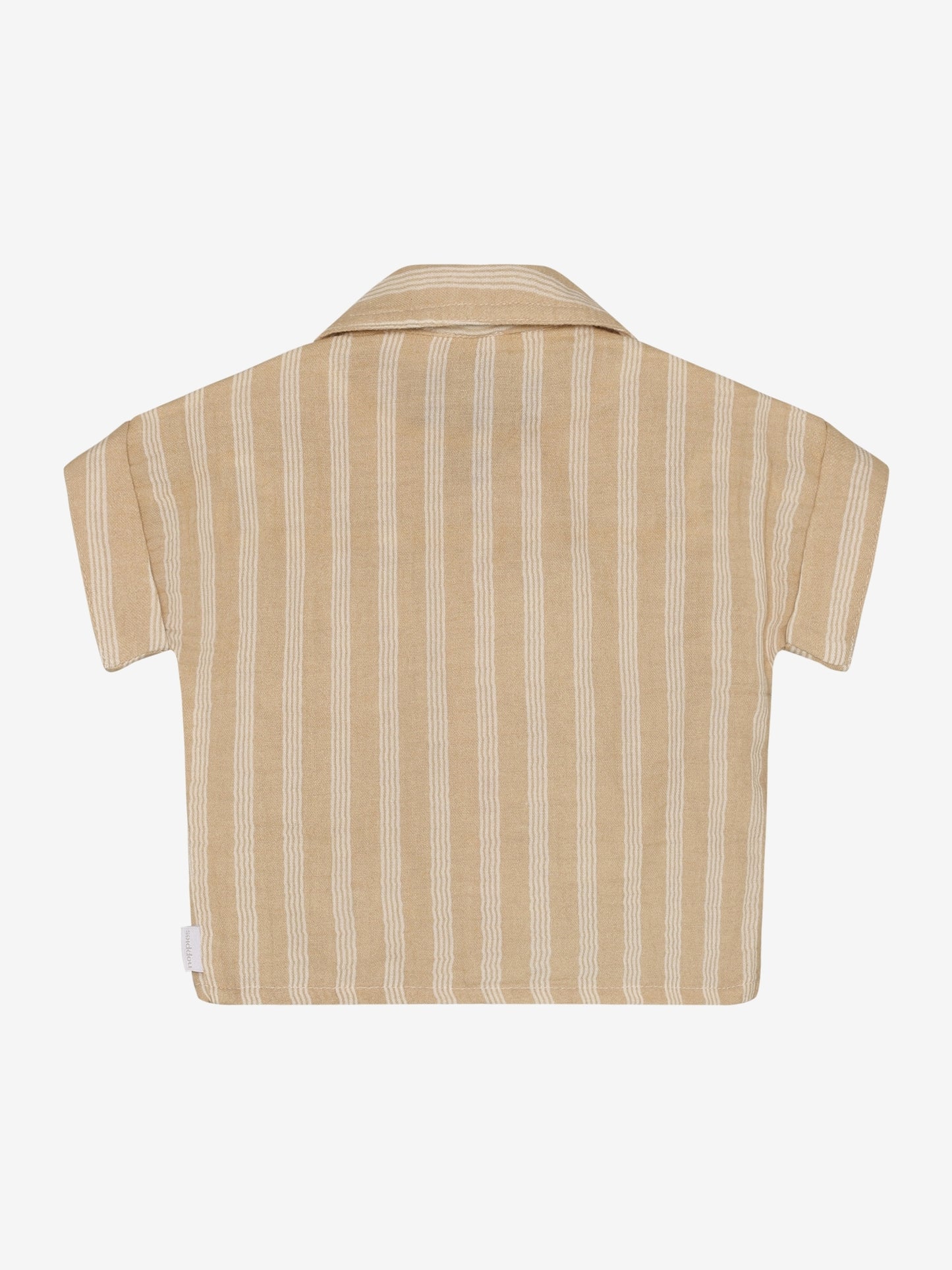 Noppies | Shirt short sleeve stripe Irish Cream
