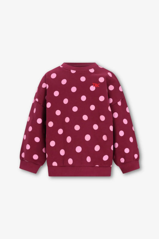The New Chapter | Billie sweater bordeaux stip