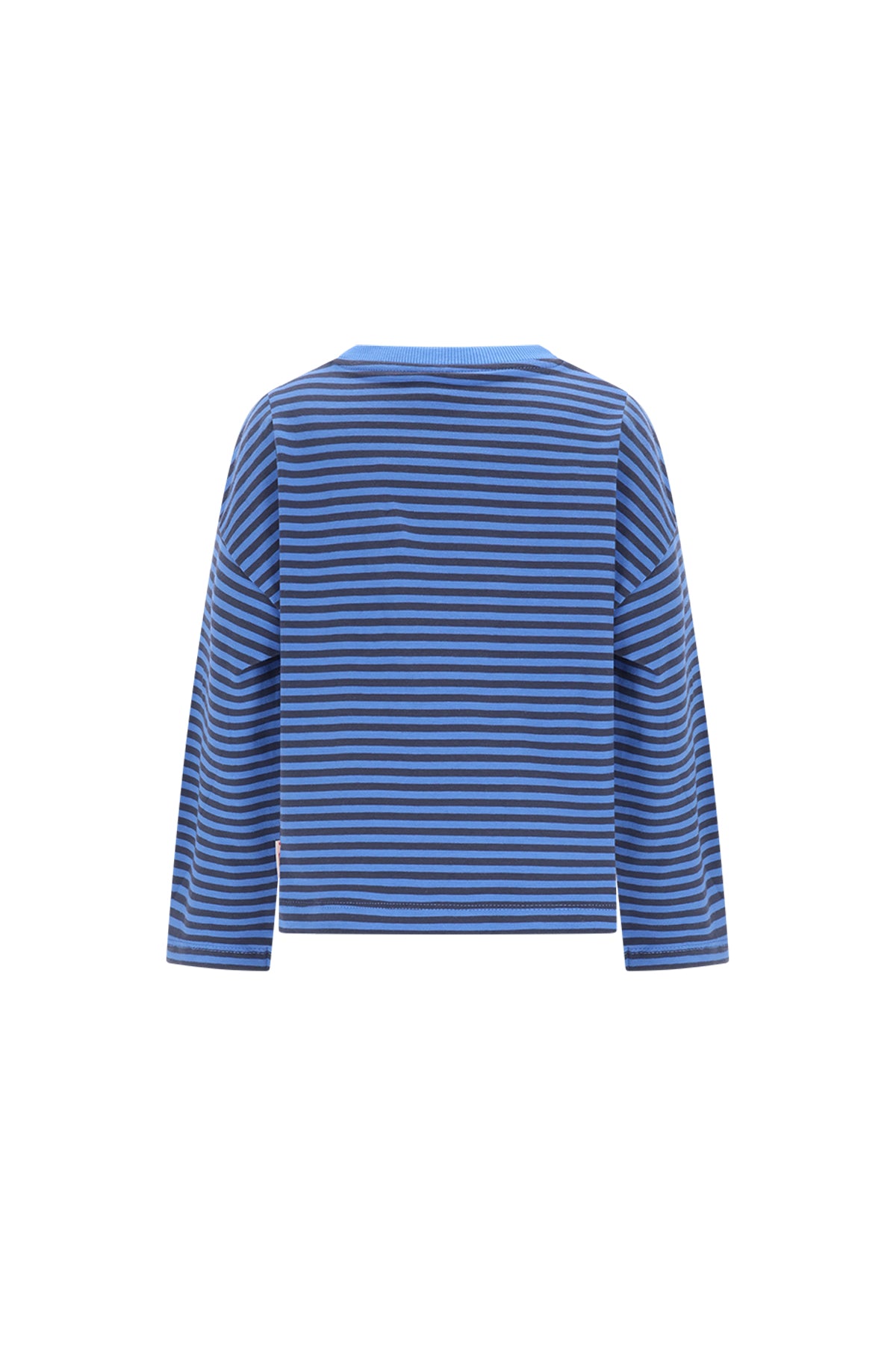 The New Chapter | Lou longsleeve blauw gestreept