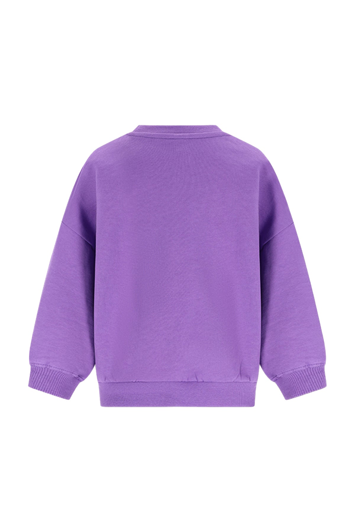 The New Chapter | Billie sweater paars-groen