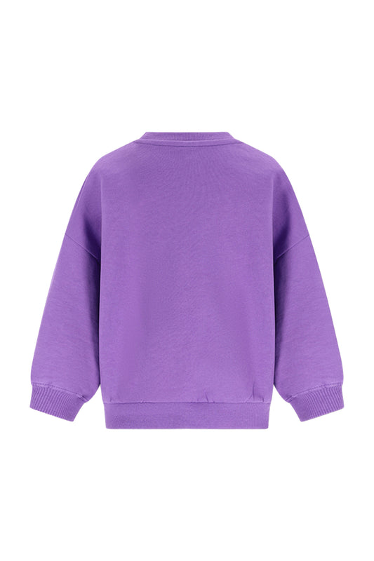 The New Chapter | Billie sweater paars-groen