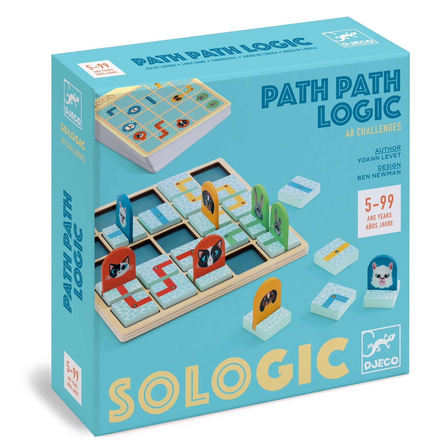 Djeco | Path Path Logic – logisch denkspel - DJ00811