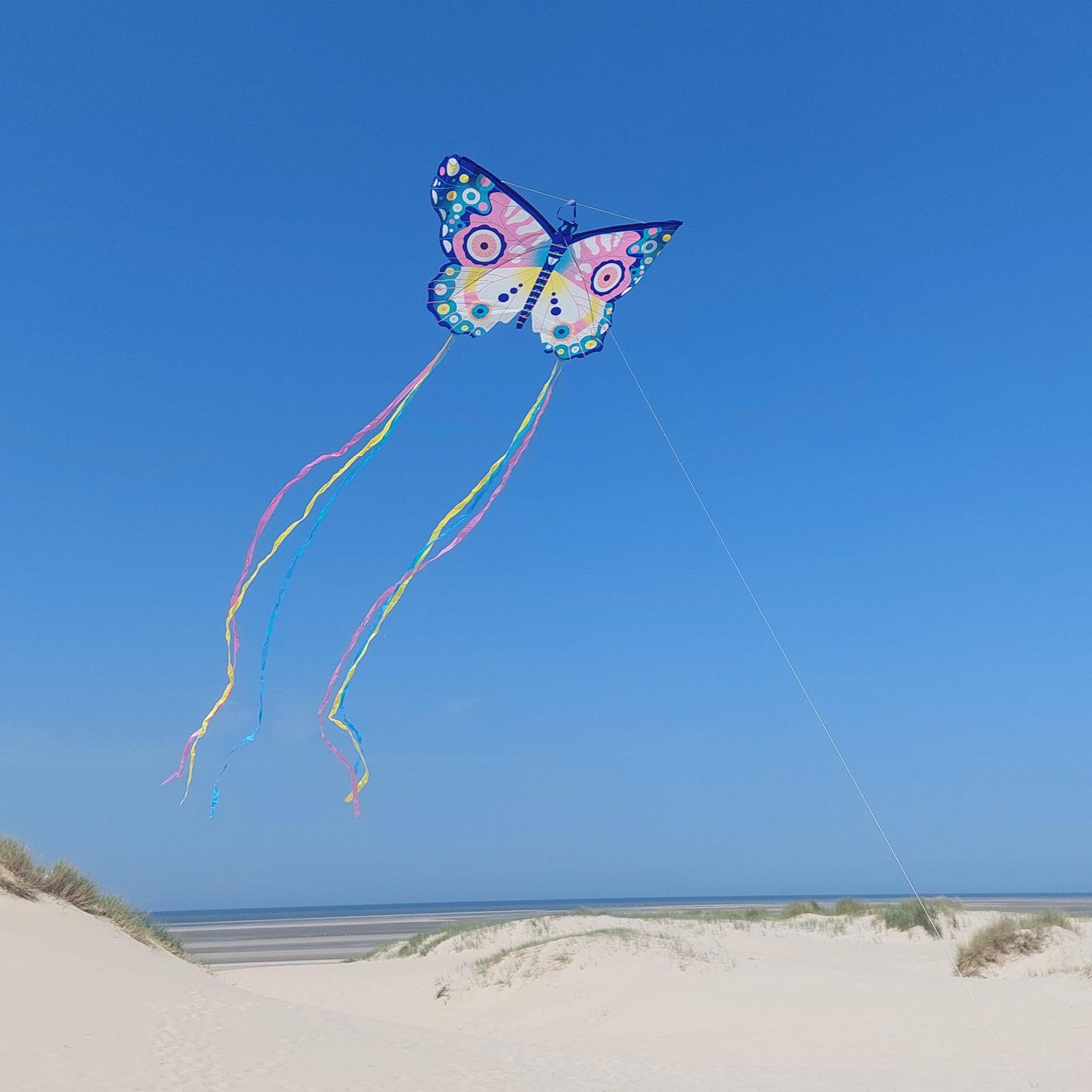 Djeco | Maxi Butterfly - vlieger - DJ02162
