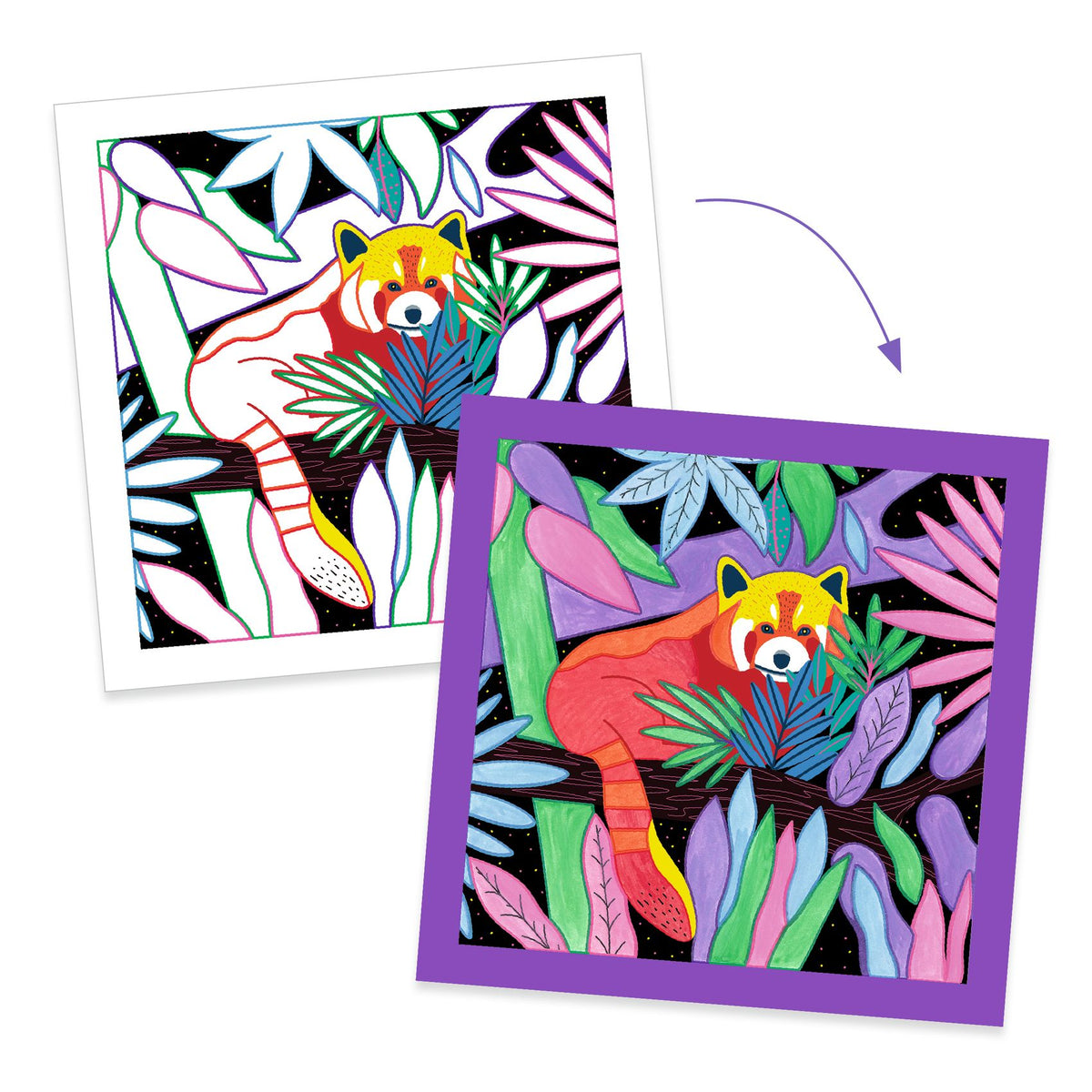 Djeco | Schilderkaarten Selva - DJ09995