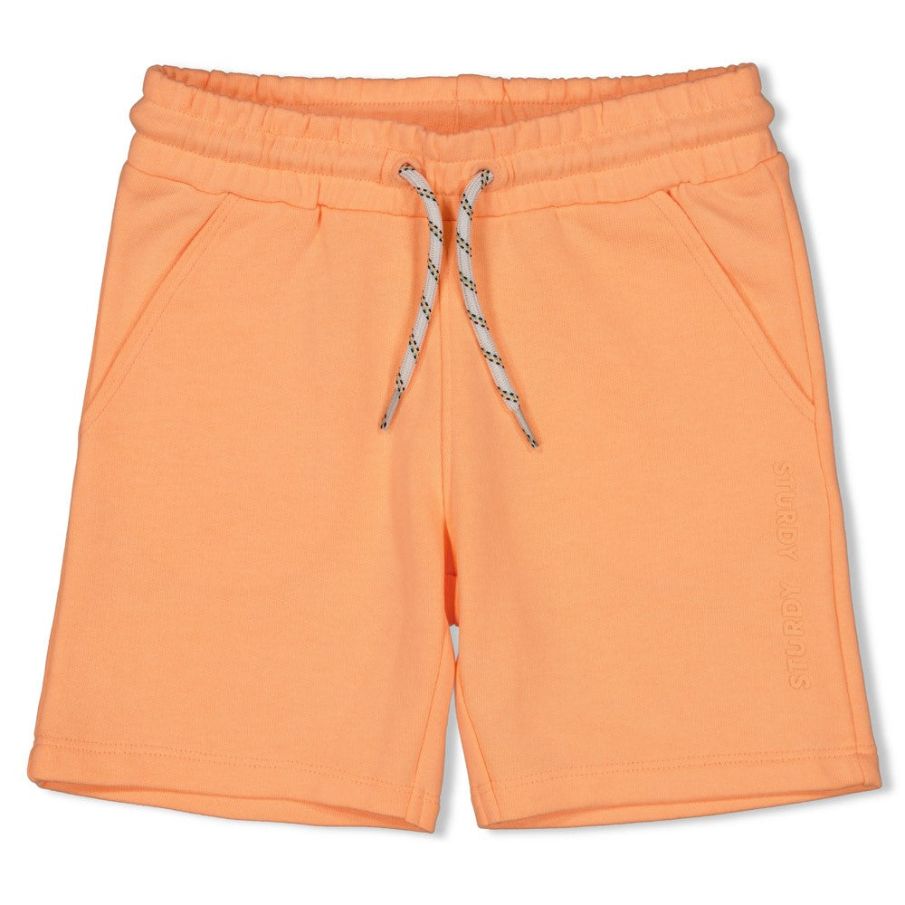 Sturdy | Korte broek - Lagoon Legend