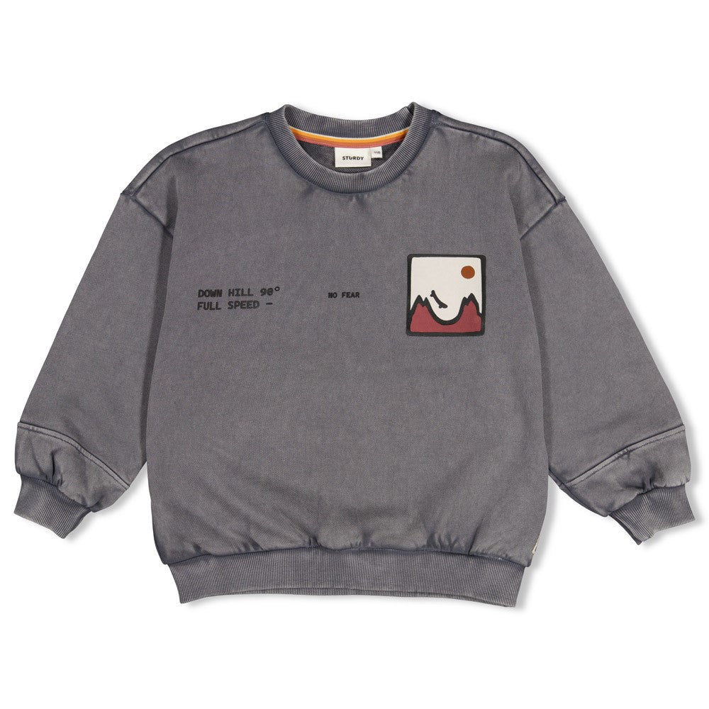 Sturdy | Oversized sweater met backprint Mountain Top - Grijs
