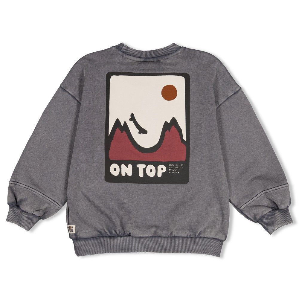 Sturdy | Oversized sweater met backprint Mountain Top - Grijs