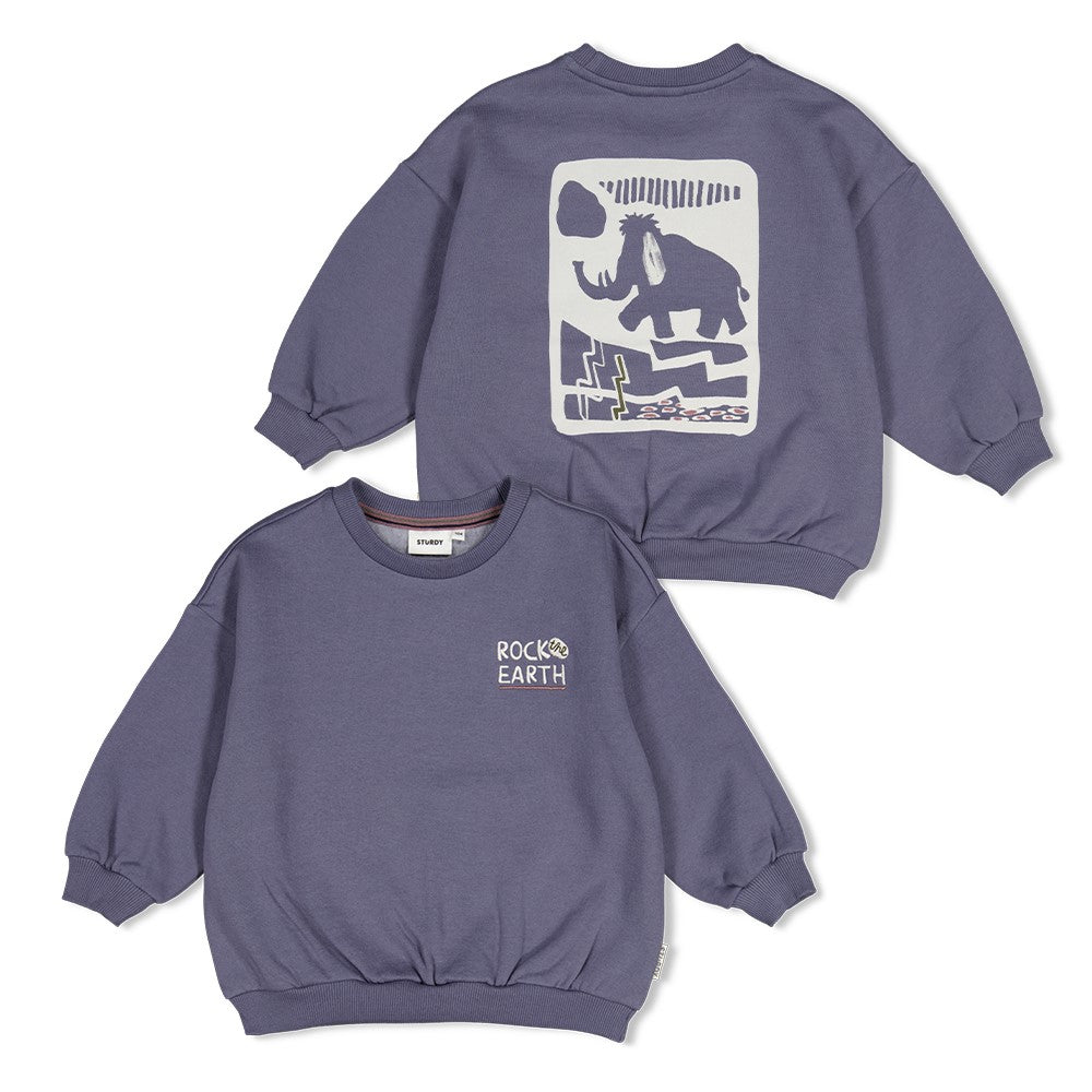 Sturdy | Oversized sweater met backprint Rock the Earth - Blauw