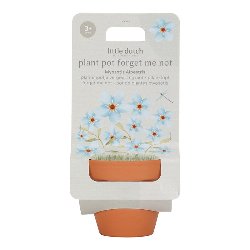 little dutch kweekset vergeet mij nietjes bloemen