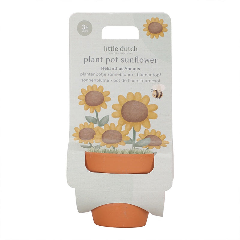 little dutch zonnebloem kweekset voor kinderen