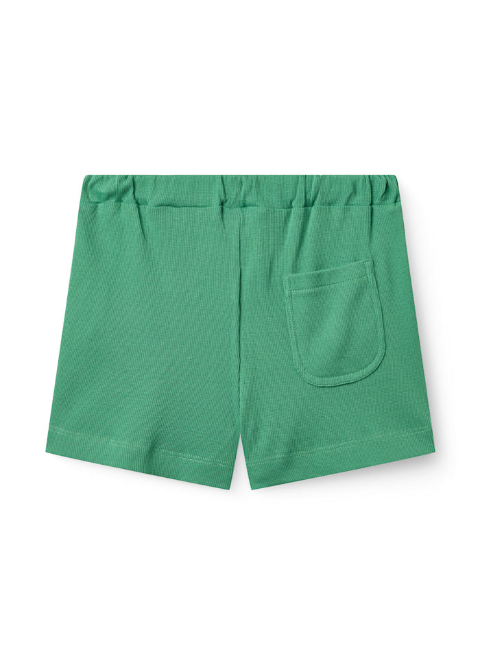 Copenhagen colors | Modal rib shorts groen